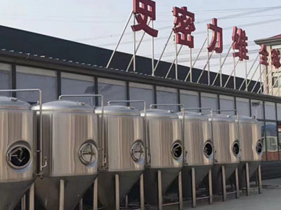 昌都精酿啤酒设备厂—市场规模与跨界新需求